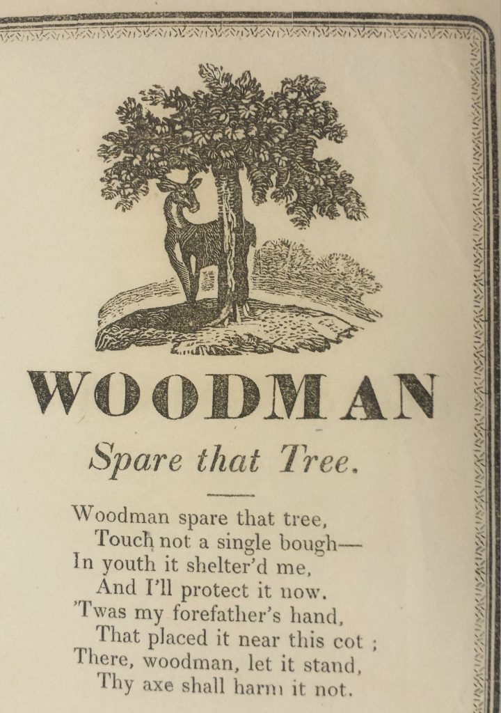 Woodman, spare that tree!
