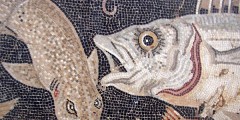 Mosaic of fish