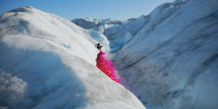 Dye tracing on the Greenland Ice Sheet