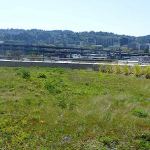A photograph of a greenroof in Portland, Oregon, visited during the team's interdisciplinary trip to investigate whether Portland is a Blue-Green City