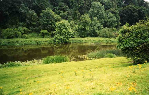 A photograph of a river in the Irish countryside