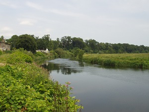 A photograph of a typical wide and shallow Irish floodplain 
