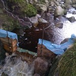 A photograph of water quality sampling in an Irish forest catchment