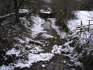 A photograph of Wortley Beck