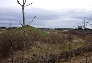 A photograph of a SuDS pond behind the "aesthetic mount" at the Great Park development in Newcastle, note proximity to major road A1