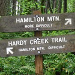 A photograph of the choice of hiking routes