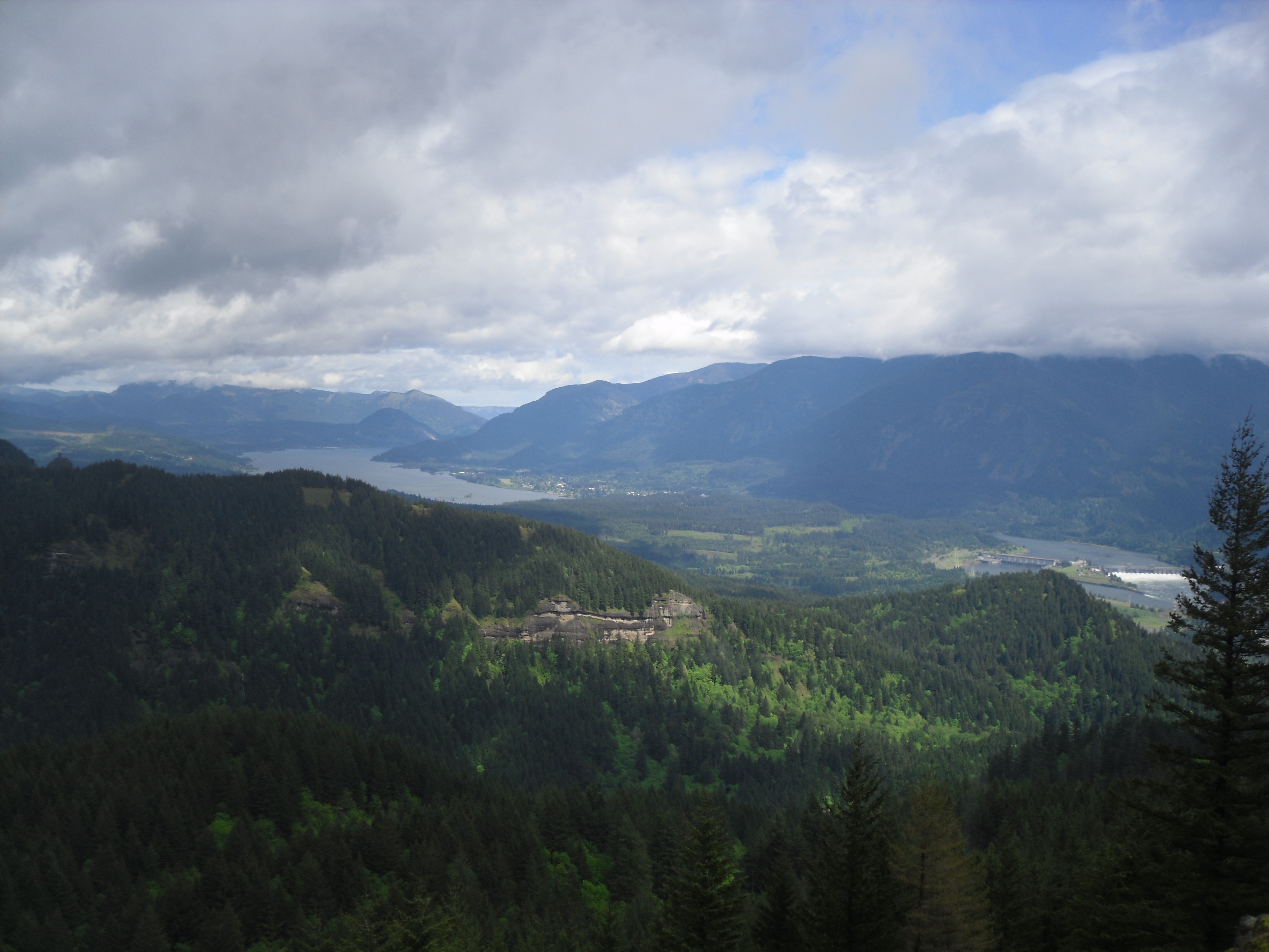 A photograph of the view of the Columbia River Gorge, Washington State side, from the Hamilton Mountain Trail