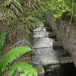 A photograph of a fish ladder at Crystal Springs