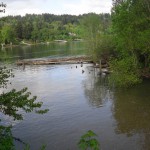 A photograph of the confluence of Johnson Creek and the Willamette River, Portland, Oregon