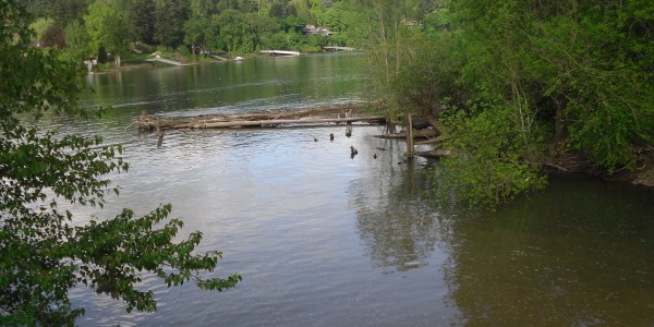 A photograph of the confluence of Johnson Creek and the Willamette River, Portland, Oregon