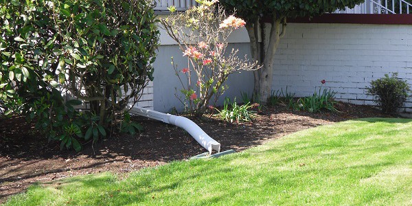 A photograph of downspout disconnection in Portland, Oregon.