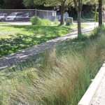 A photograph of a Portland bioswale (without kerb-cut)