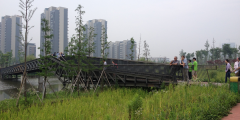 A photograph of the 2km long eco-corridor in central Ningbo, China.