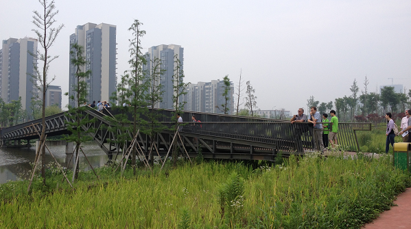 A photograph of the 2km long eco-corridor in central Ningbo, China.