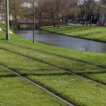 A photograph of green tram tracks in Rotterdam city centre