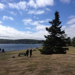 A photograph of greenspace meeting the ocean at Point Pleasure Park, Halifax