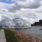 A photograph of The Floating Pavillion, Rotterdam
