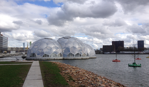 A photograph of The Floating Pavillion, Rotterdam