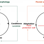 Cycle of fluvial geomorphology in both natural and urban settings. Cycle runs from surface to conditions to processes to adaptation, then back into surface.