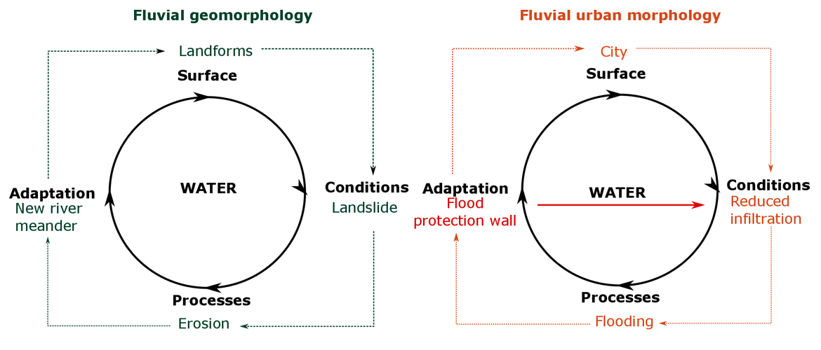 Cycle of fluvial geomorphology in both natural and urban settings.  Cycle runs from surface to conditions to processes to adaptation, then back into surface.