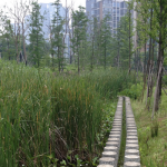 A photograph of Blue-Green space in Ningbo eco-corridor