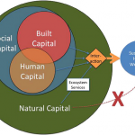 A diagram illustrating the interaction between built, social, human and natural capital. (Source: Constanza et al., 2017)
