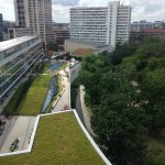 A photograph of green roofs and swales , exampels of nature based solutions that create natural capital.