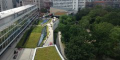 A photograph of green roofs and swales , exampels of nature based solutions that create natural capital.