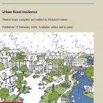 Urban flood resilience special issue (Philosophical Transactions of the Royal Society A journal)