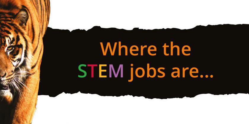 where the STEM jobs are