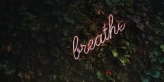 breathe text in pink on a leafy wall