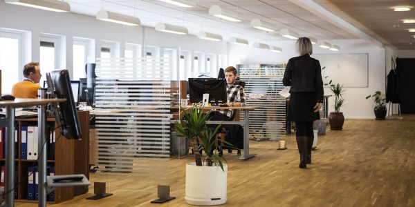 Modern office setting with staff working