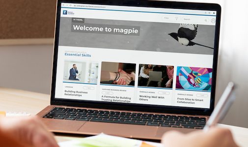magpie resource on a computer screen