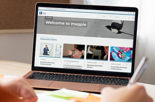 magpie resource on a computer screen