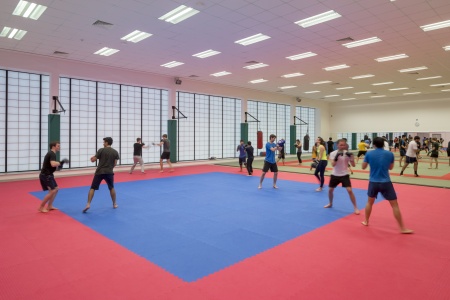Multiple people partaking in boxing training