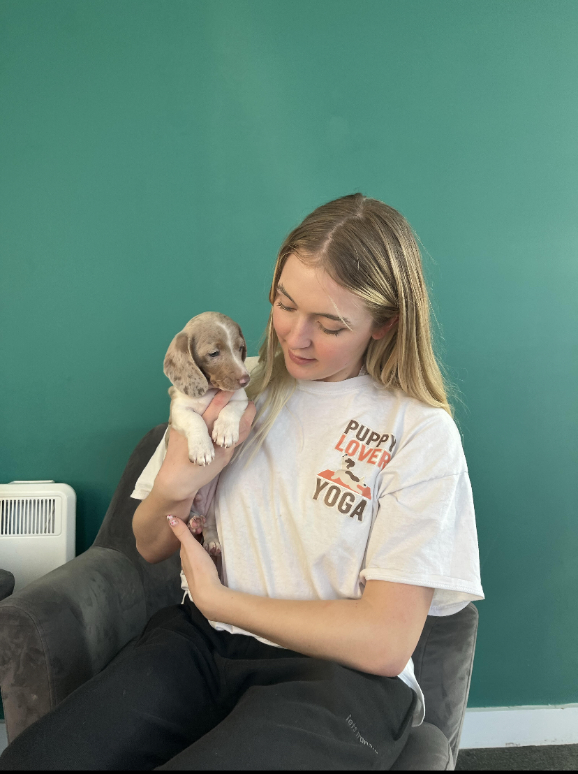 Girl and a Puppy at a wellbeing event.