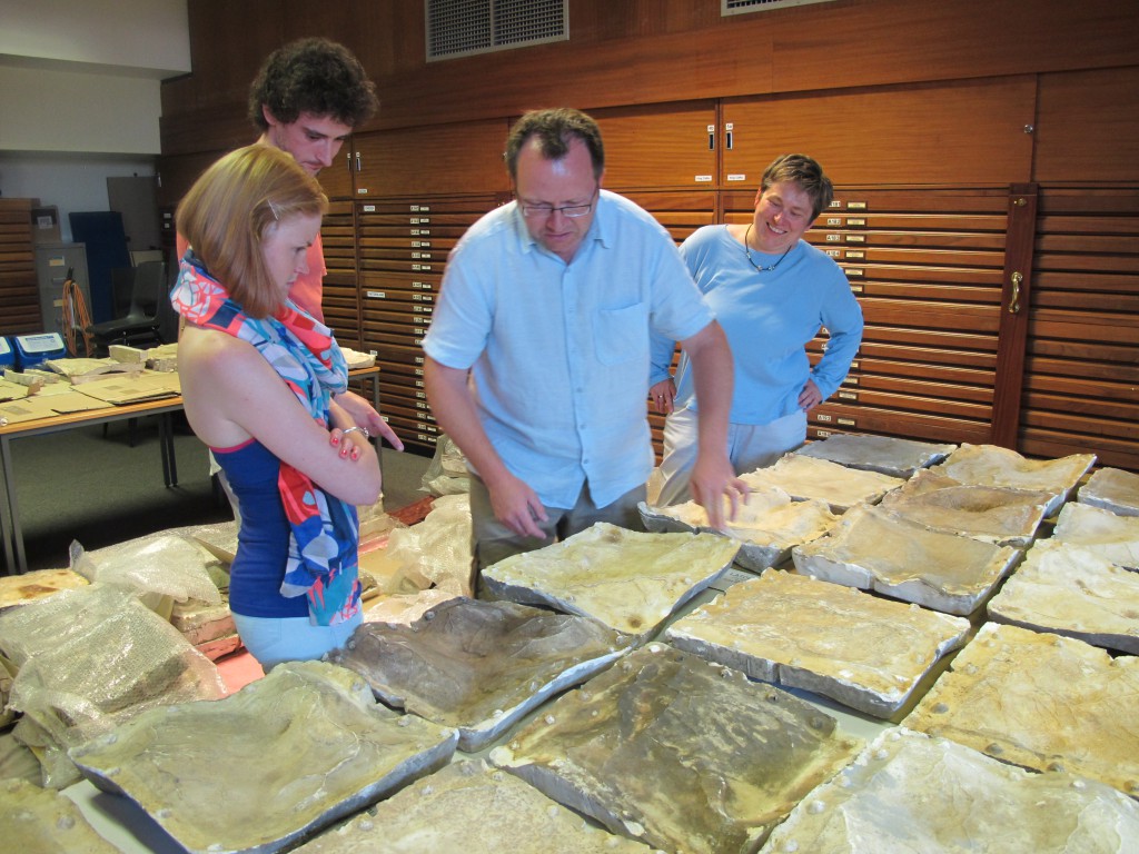 DHC Research Associates Robyn and Craig inspect a few of the 140 Victorian plaster moulds of the Lake District with Geographer Gary Priestnell and DHC Director Katharina Lorenz before 3D scanning begins.
