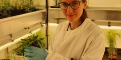 Katerina, a young woman, in a white lab coat with the plants she is using to studying microbiota in soils
