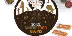 Soil surveys are one way to understand the properties of soil. This image is the logo for World Soil Day