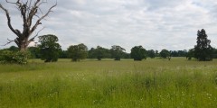 Catton Park, looking towards Norwich