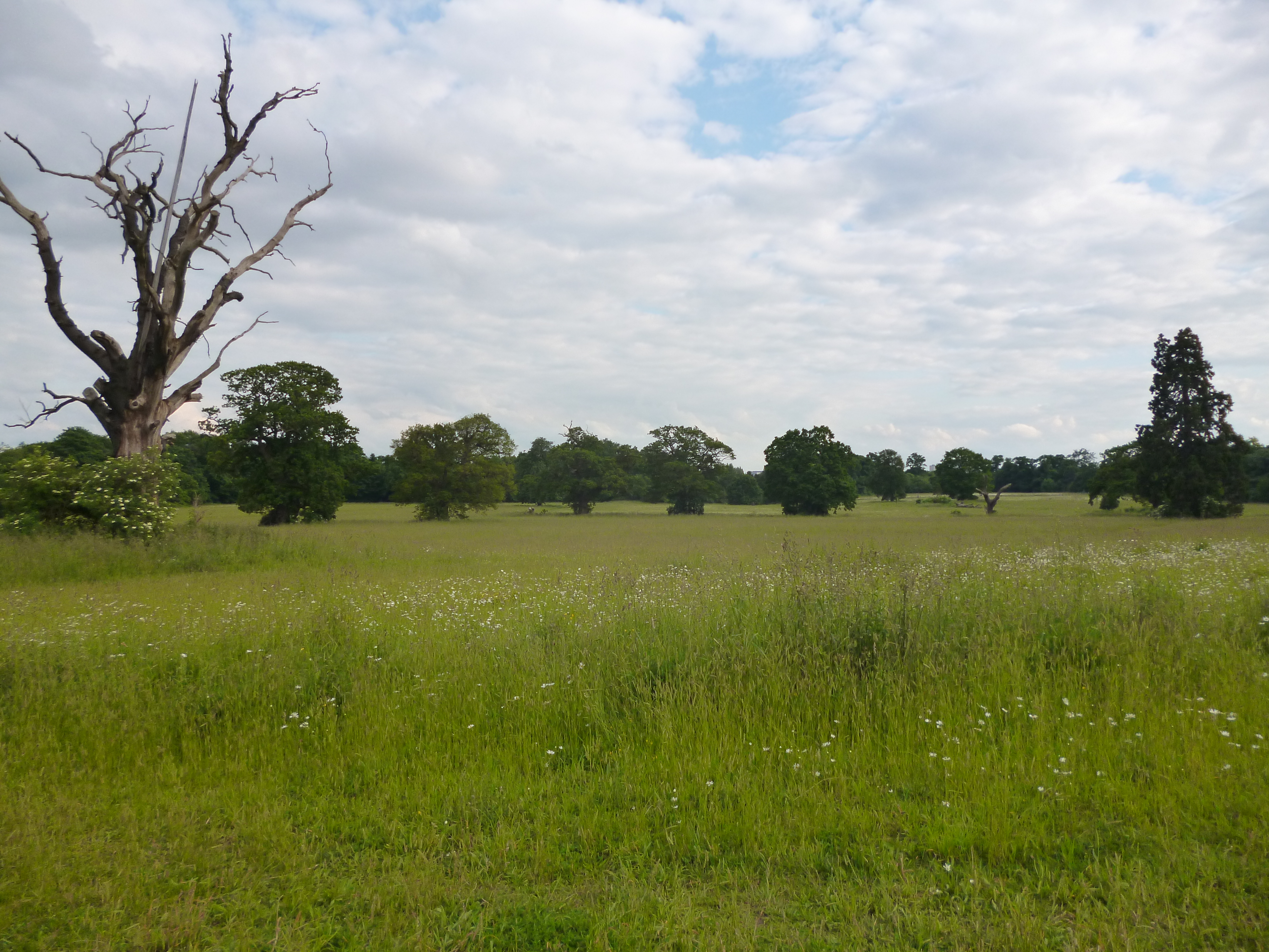 Catton Park, looking towards Norwich