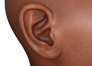 Image showing a person's ear from the side of the head