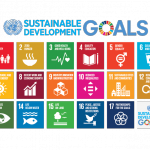 United Nations Sustainable Development Goals, infographic, 17 goals,