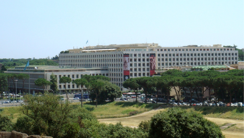 FAO Headquarters, Rome