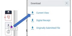 Download feedback from Turnitin using Download icon and Current View