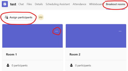 assign particpants in advance to MS Teams Breakout Rooms