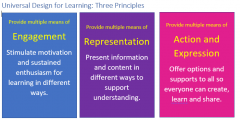 Three principles of UDL: Engagement; Representation; Action & Expression