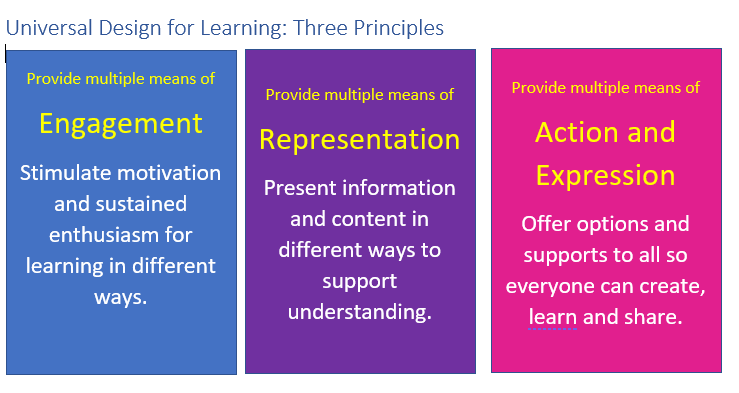 Three principles of UDL: Engagement; Representation; Action & Expression