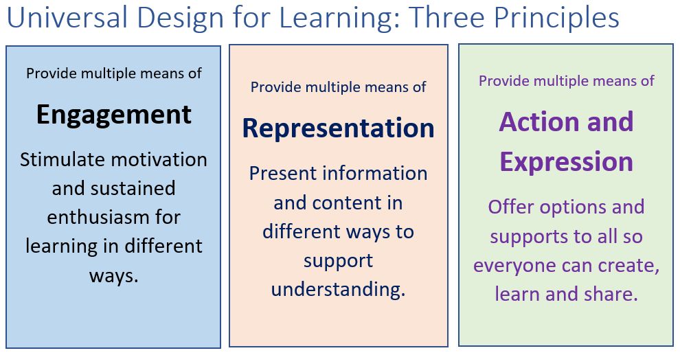 UDl three principles as described in the text.