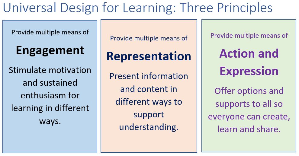 Implementing UDL 2 Multiple Means Of Representation Learning Technology